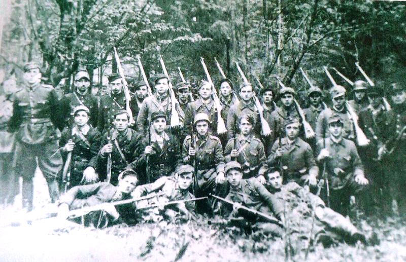 УПА. Свободу народам! Свободу людині! — фото 1